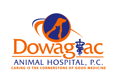 Dowagiac Animal Hospital
